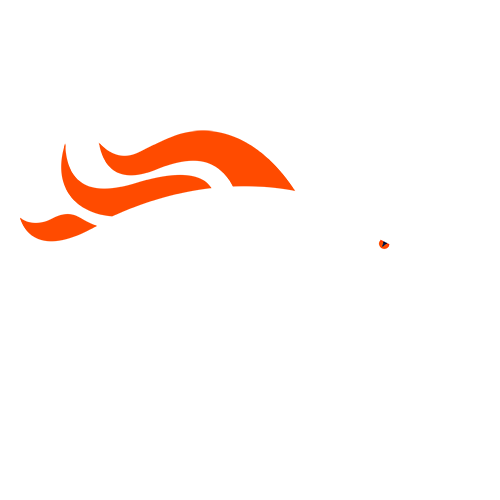 DEN logo